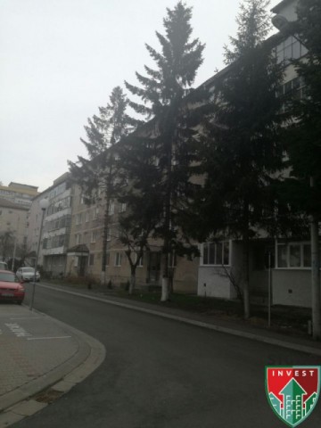 spatiu-comercial-de-tip-apartament-2-camere-in-sibiu-zona-cedonia-5